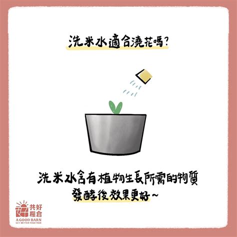 洗米水澆花|洗米水澆花，正確的做法是？